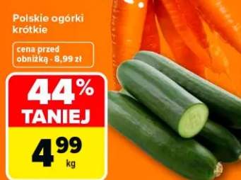 ogórki krótkie