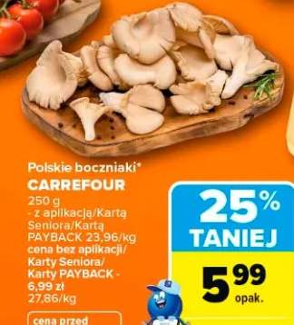 boczniaki