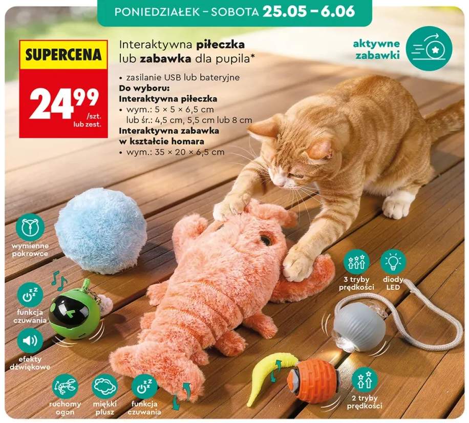 zabawka dla kota