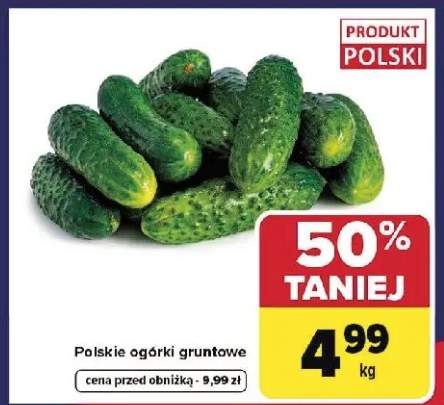 Polskie ogórki gruntowe