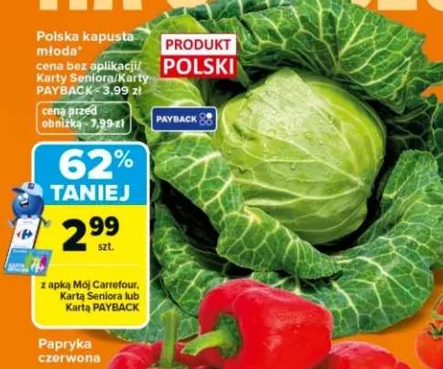 Kapusta młoda polska