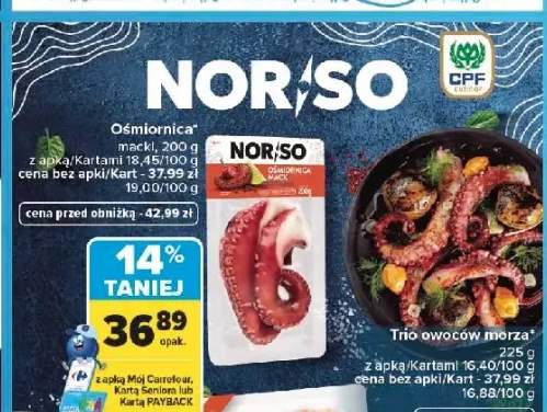 Ośmiornica macki Nor/So