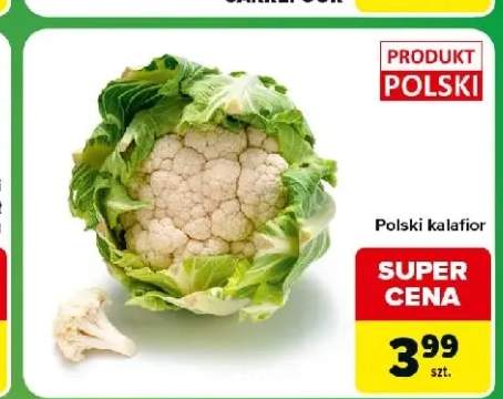 Kalafior polski