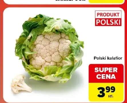 Kalafior polski