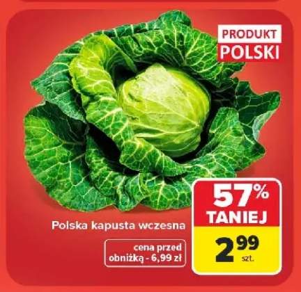 Kapusta wczesna polska