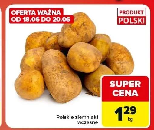 Ziemniaki wczesne polskie