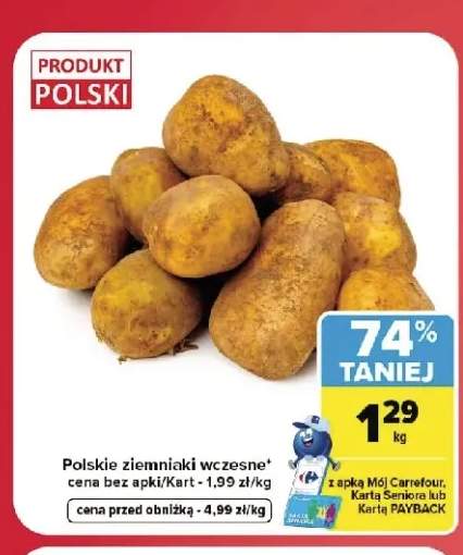 Ziemniaki wczesne polskie