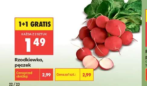 rzodkiewka