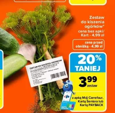 Zestaw do kiszenia ogórków
