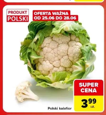 Kalafior polski