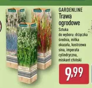 trawa dekoracyjna