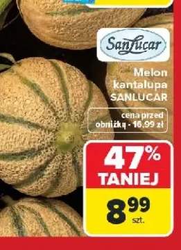 Melon kantalupa SanLucar