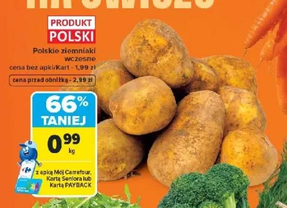 Ziemniaki wczesne polskie