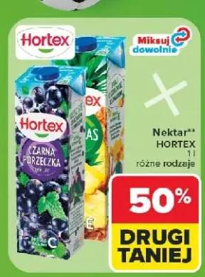 Nektar czarna porzeczka Hortex +1 wariant