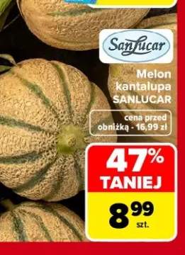 Melon kantalupa SanLucar