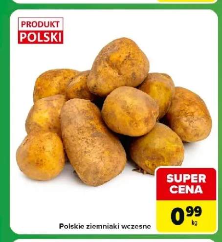 Ziemniaki wczesne polskie