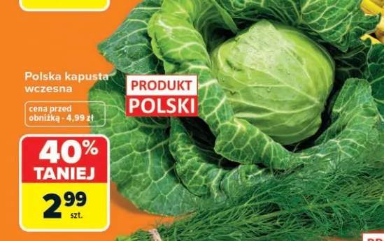 Kapusta wczesna polska