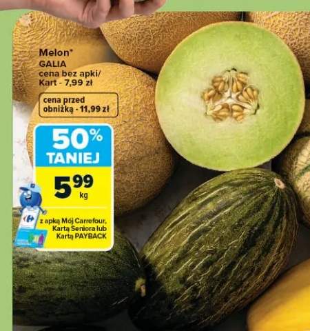Melon Galia