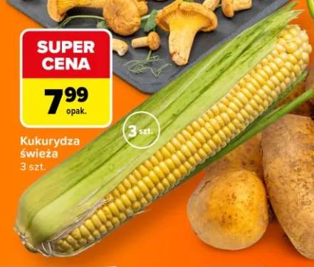 Kukurydza świeża