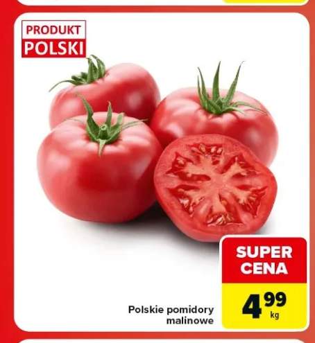 Pomidory malinowe polskie