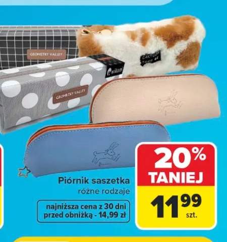 Piórnik saszetka