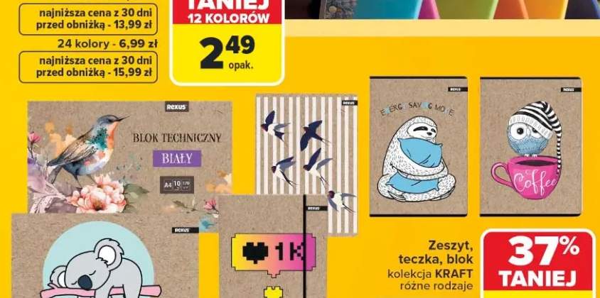 Zeszyt kolekcja KRAFT Rexus +2 warianty