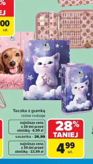 Teczka z gumką Cleo & Frank +1 wariant