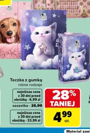Teczka z gumką Cleo & Frank +1 wariant