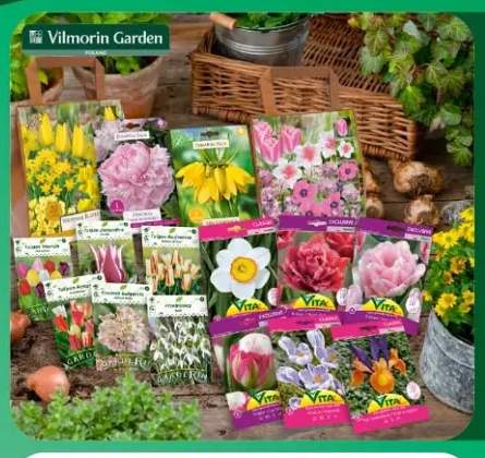Cebulki jesienne w kapersach Vita Vilmorin Garden