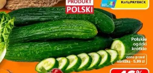 Ogórki krótkie polskie