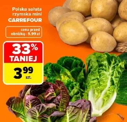Sałata rzymska mini polska Carrefour