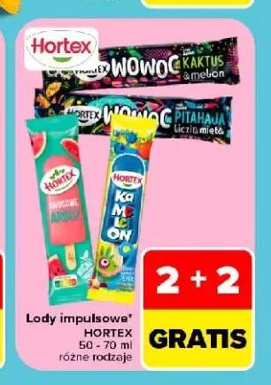 Lody Hortex Wowoc kaktus i melon +4 warianty