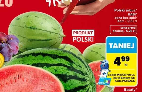 Arbuz polski baby