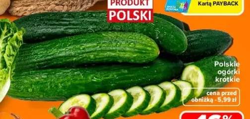 Ogórki krótkie polskie