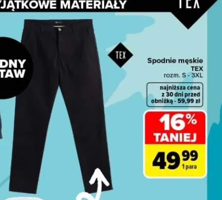 Spodnie męskie TEX