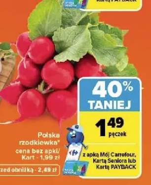 Polska rzodkiewka