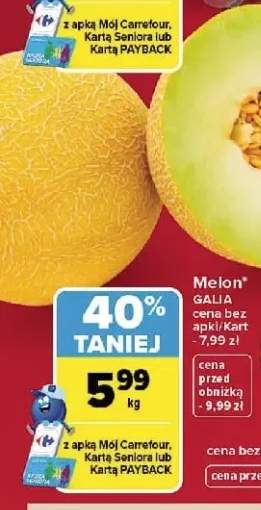 Melon Galia