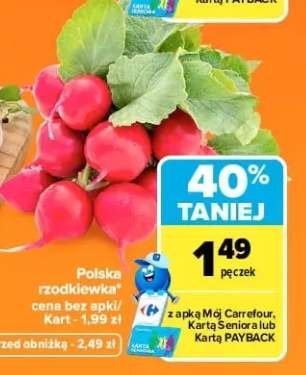 Rzodkiewka polska