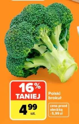 Brokuł polski