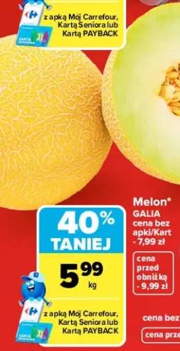 Melon Galia