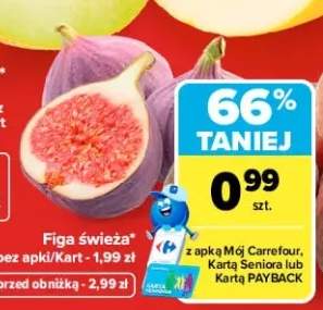 Figa świeża
