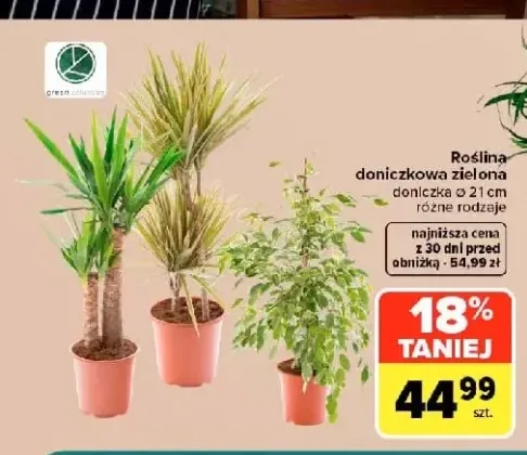 Roślina doniczkowa zielona Green Solutions
