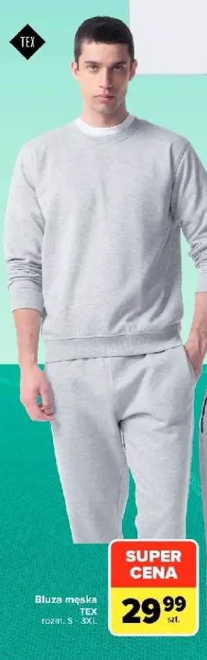 Bluza męska TEX