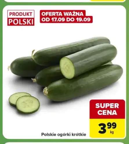Polskie ogórki krótkie