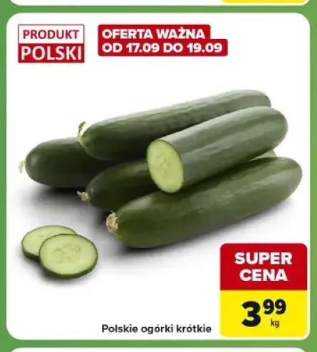Polskie ogórki krótkie