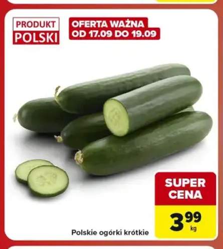 Polskie ogórki krótkie