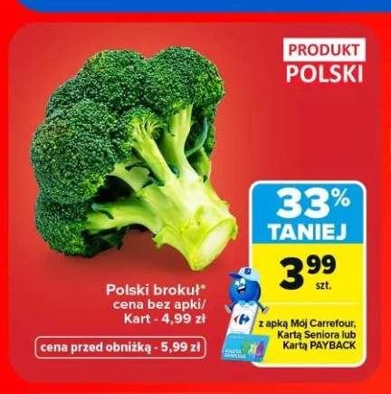 Brokuł polski