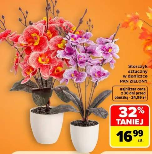 Storczyk sztuczny w doniczce Pan Zielony