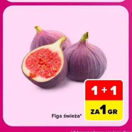 Figa świeża