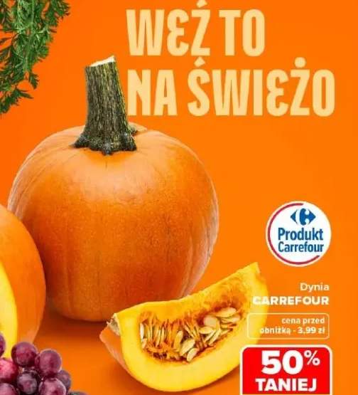 Dynia Carrefour